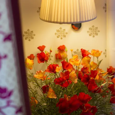 Hotel Carlton 4*
